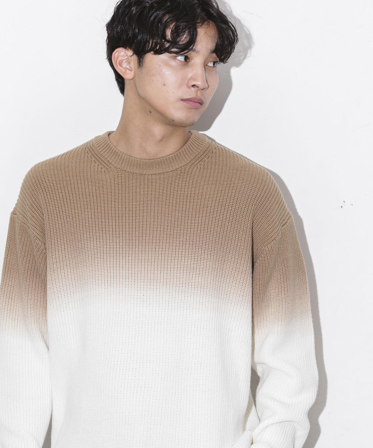 片畦グラデーションクルーネックニット 6683222229