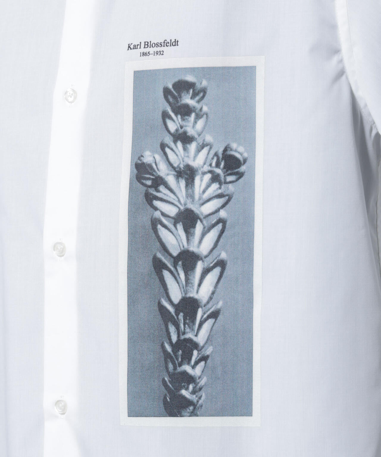 「着るアート」karl blossfeldt 半袖シャツ3 6685221212