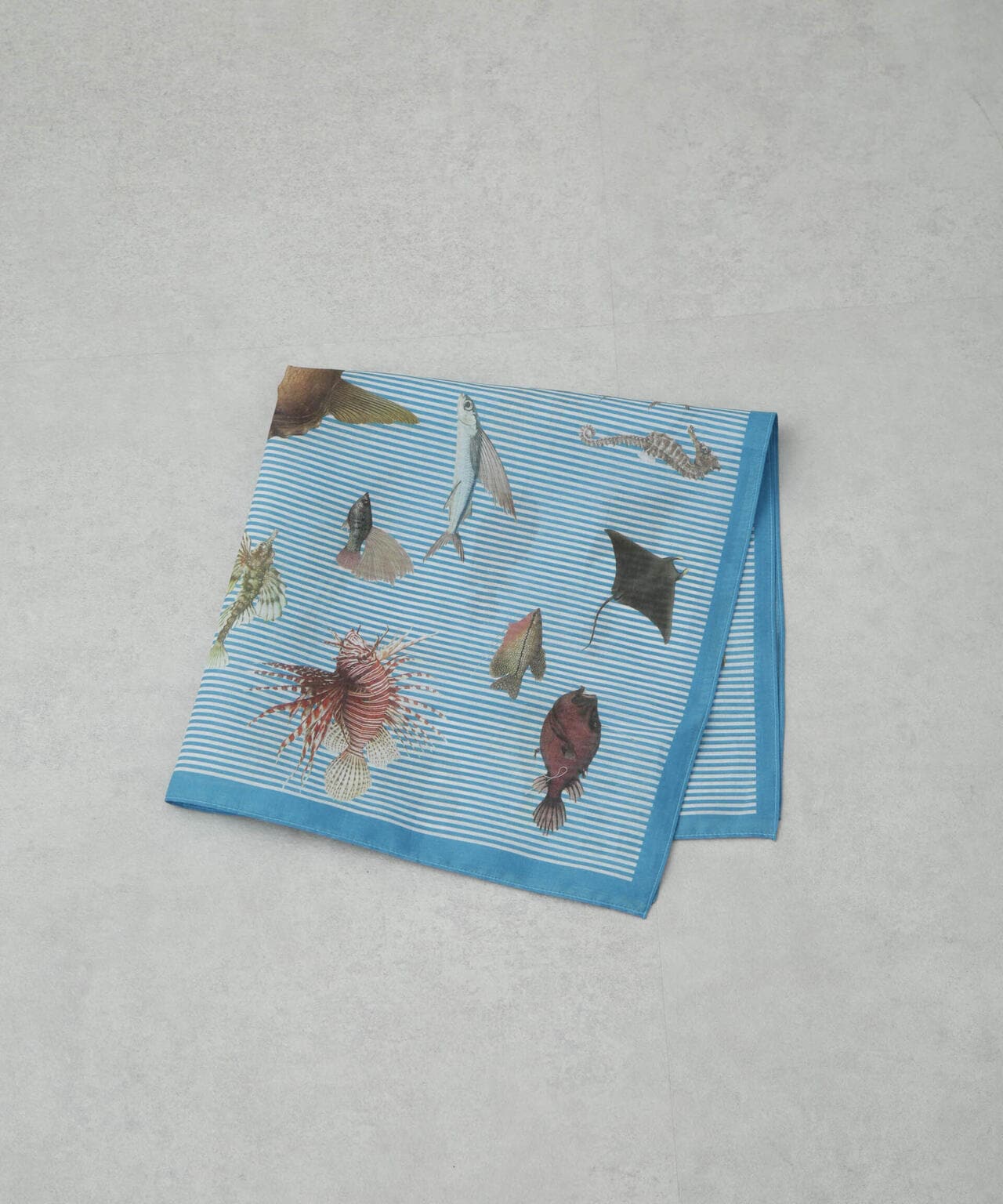 コットンプリントハンカチ 6694253419