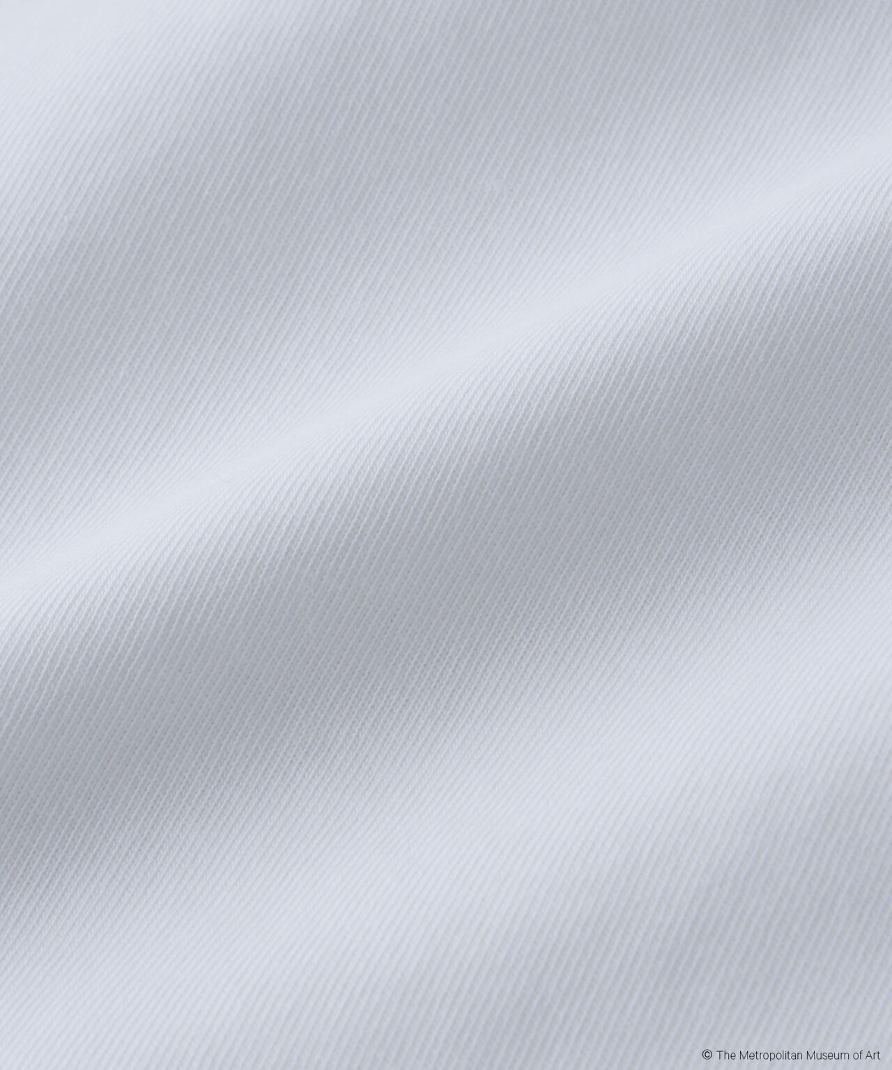 The Met 別注ロートレックTシャツ 6695224301