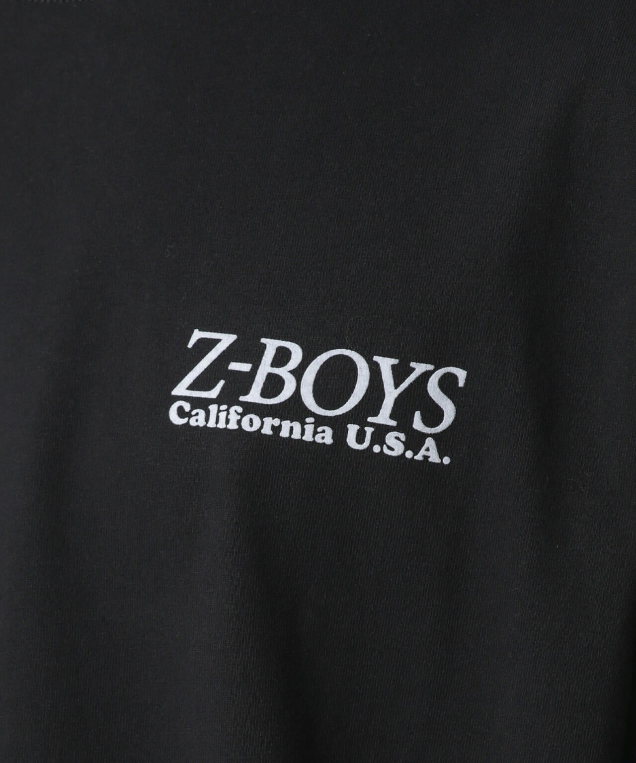 ZEPHYR/Z-BOYS/別注 Z-BOYS TEE 6703124076