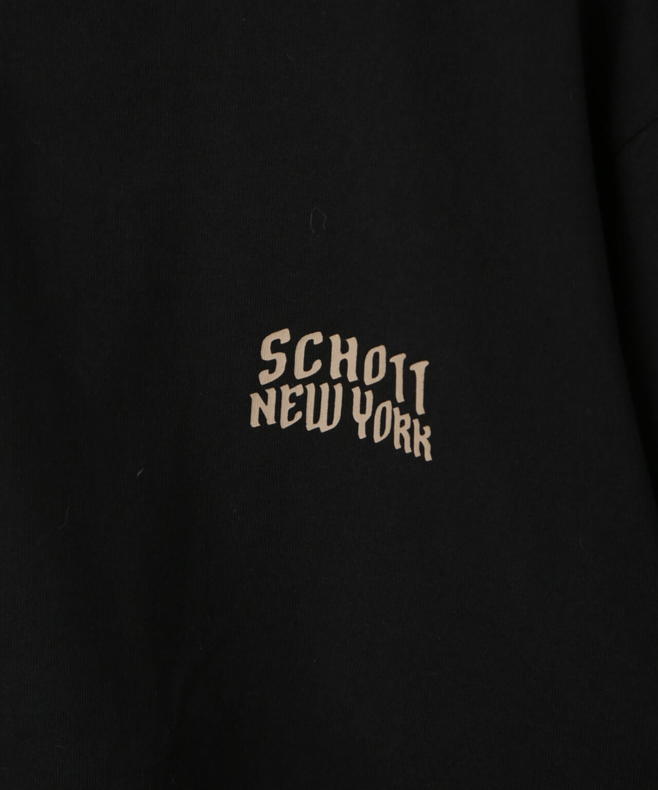 Schott/別注 BULLDOG S/S TEE 6705124012