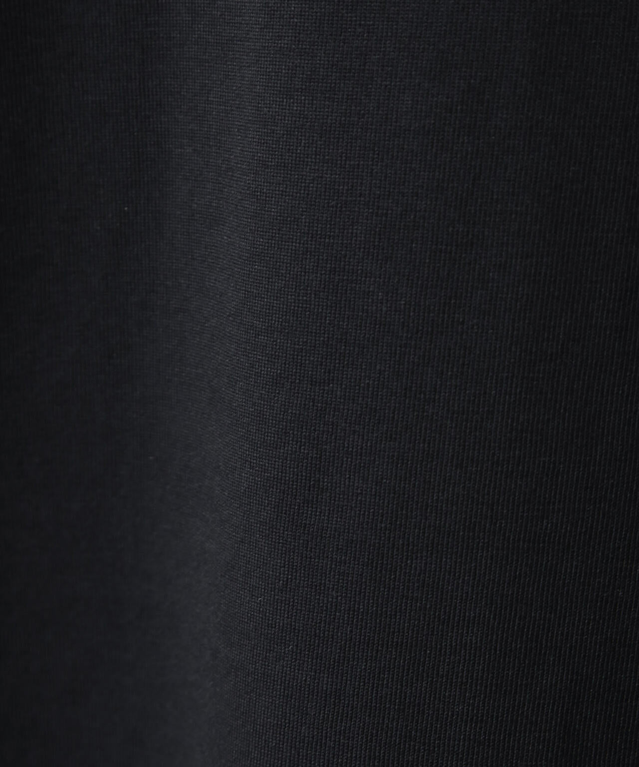 THE NORTH FACE/L/S FD Nupste Cotton Tee 6705223075