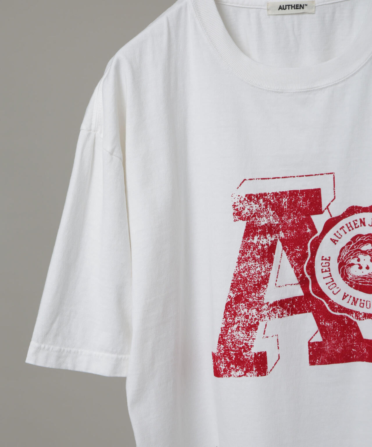 AUTHEN/SS FEC FLOCKY PRINT T-SHIRT 6705224002