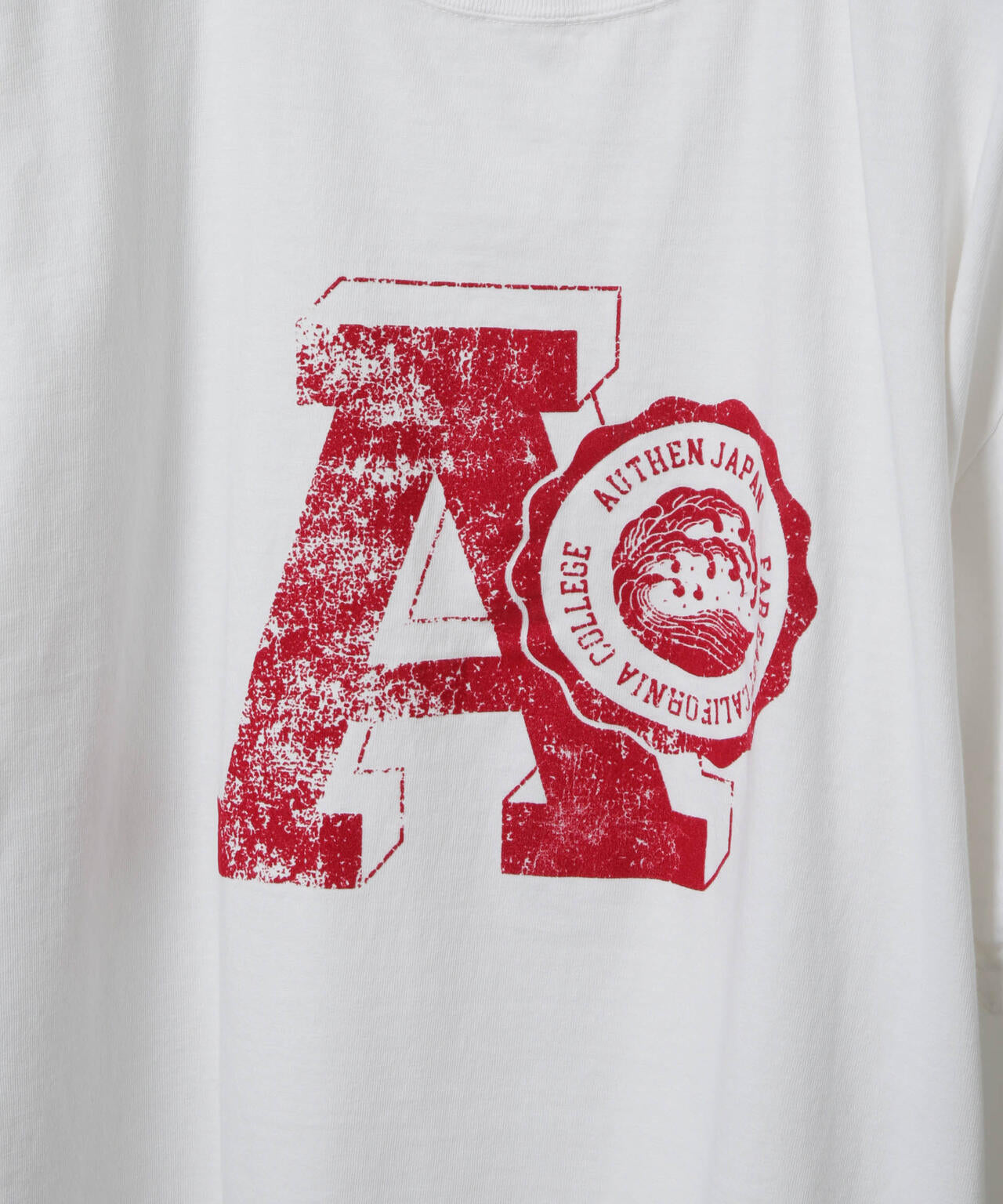 AUTHEN/SS FEC FLOCKY PRINT T-SHIRT 6705224002