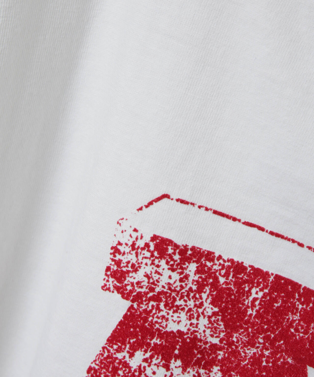 AUTHEN/SS FEC FLOCKY PRINT T-SHIRT 6705224002