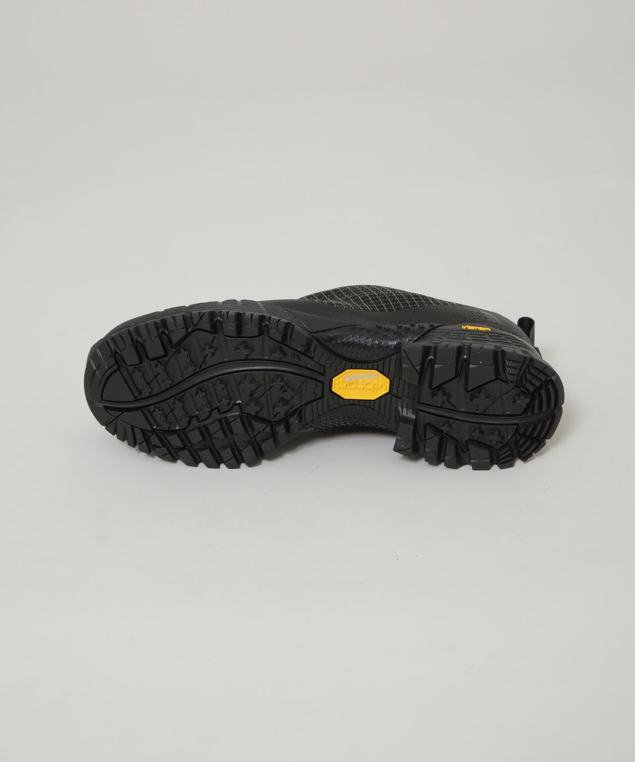 THE NORTH FACE/Townt 2 GORE-TEX 6705233022