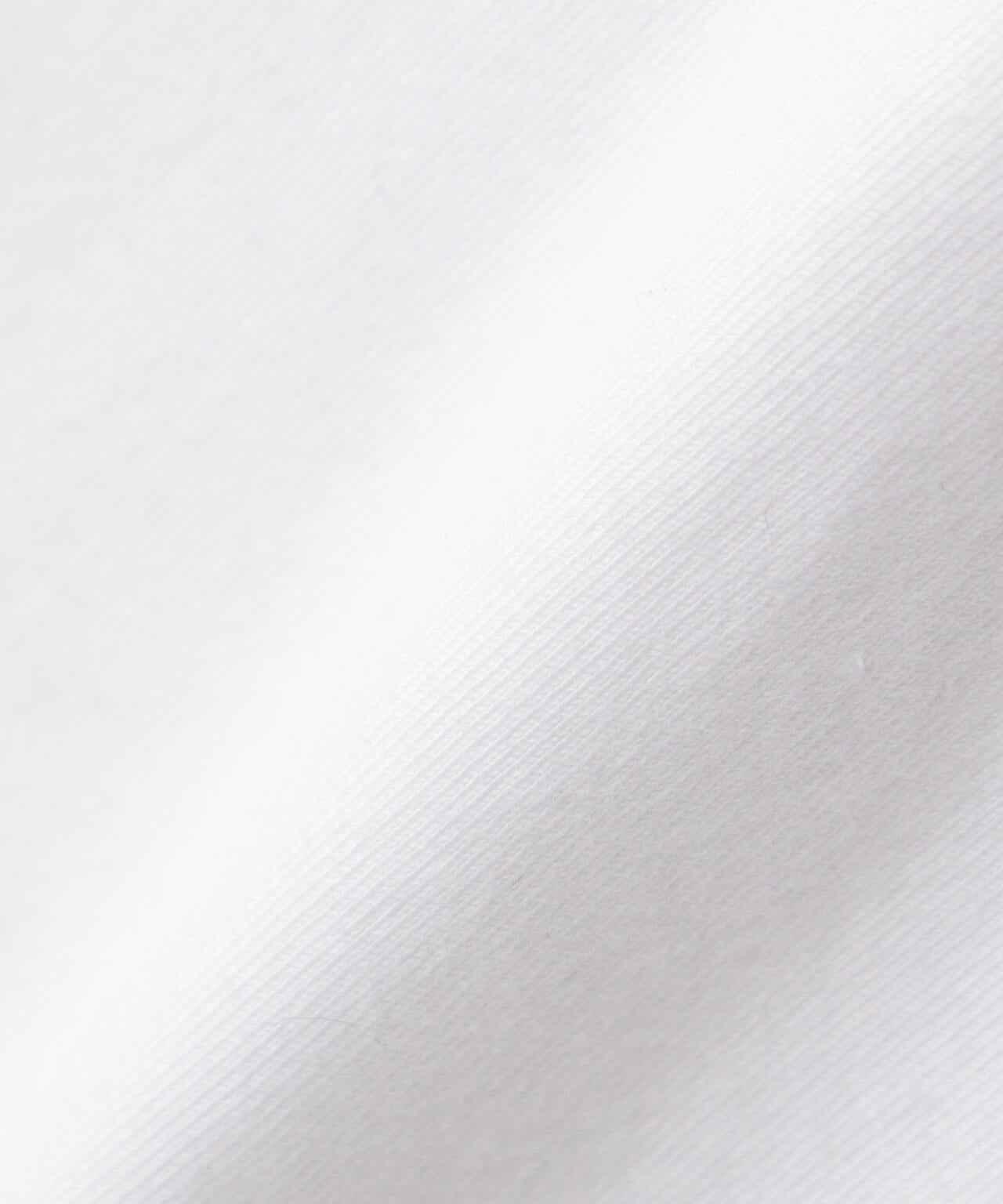 RUSSELL ATHLETIC/別注 RUSSELL ATHLETIC 製品加工 TEE 6706124020