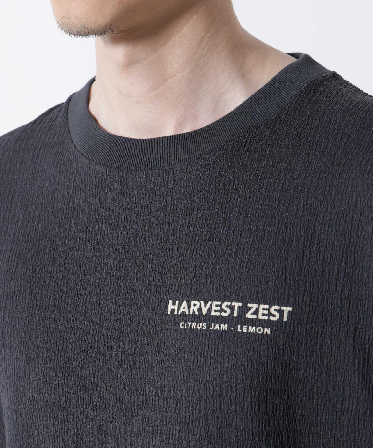 楊柳プリントTシャツ 半袖 6725224207
