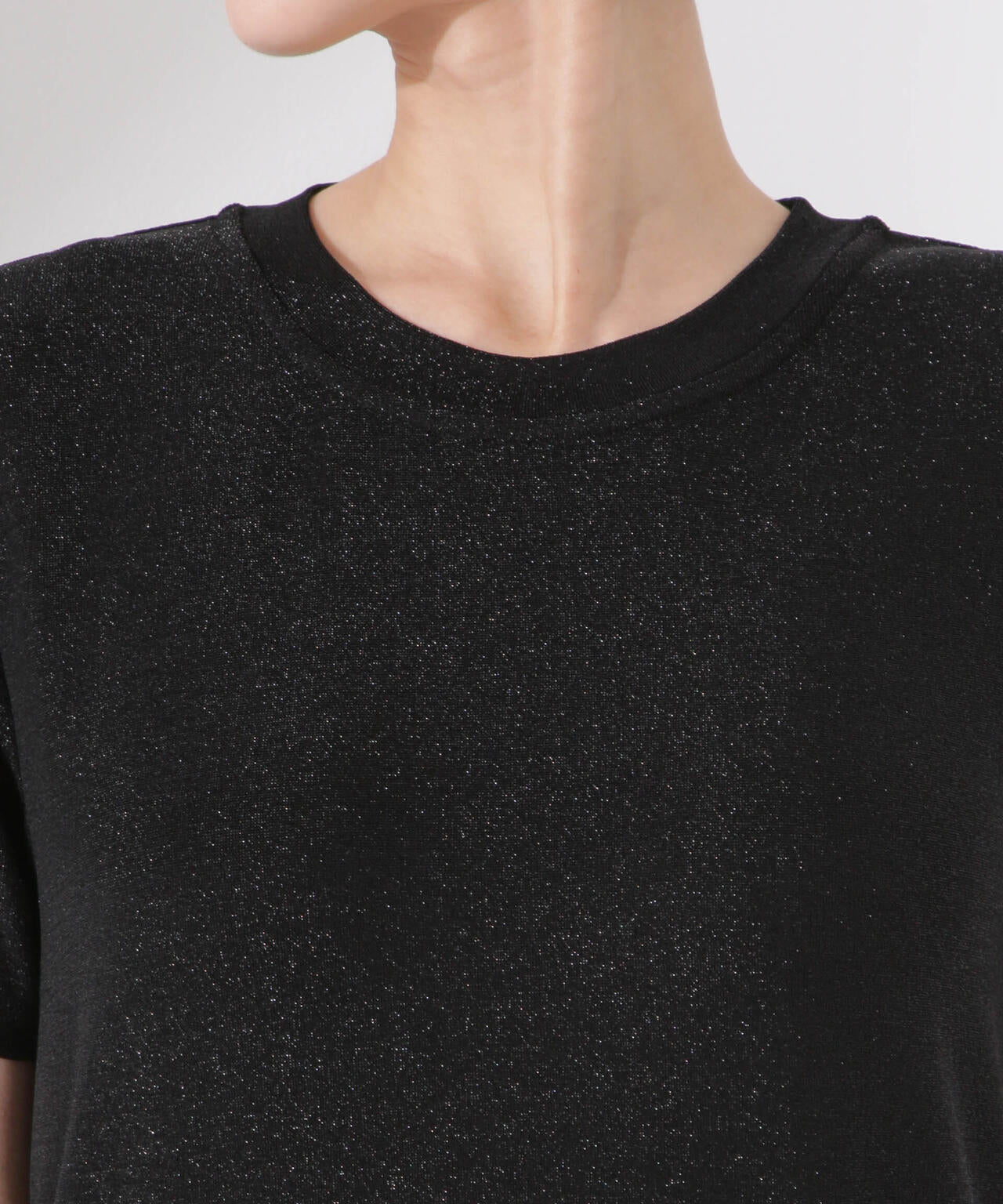 ラメカットクルーネックTシャツ 6735124320