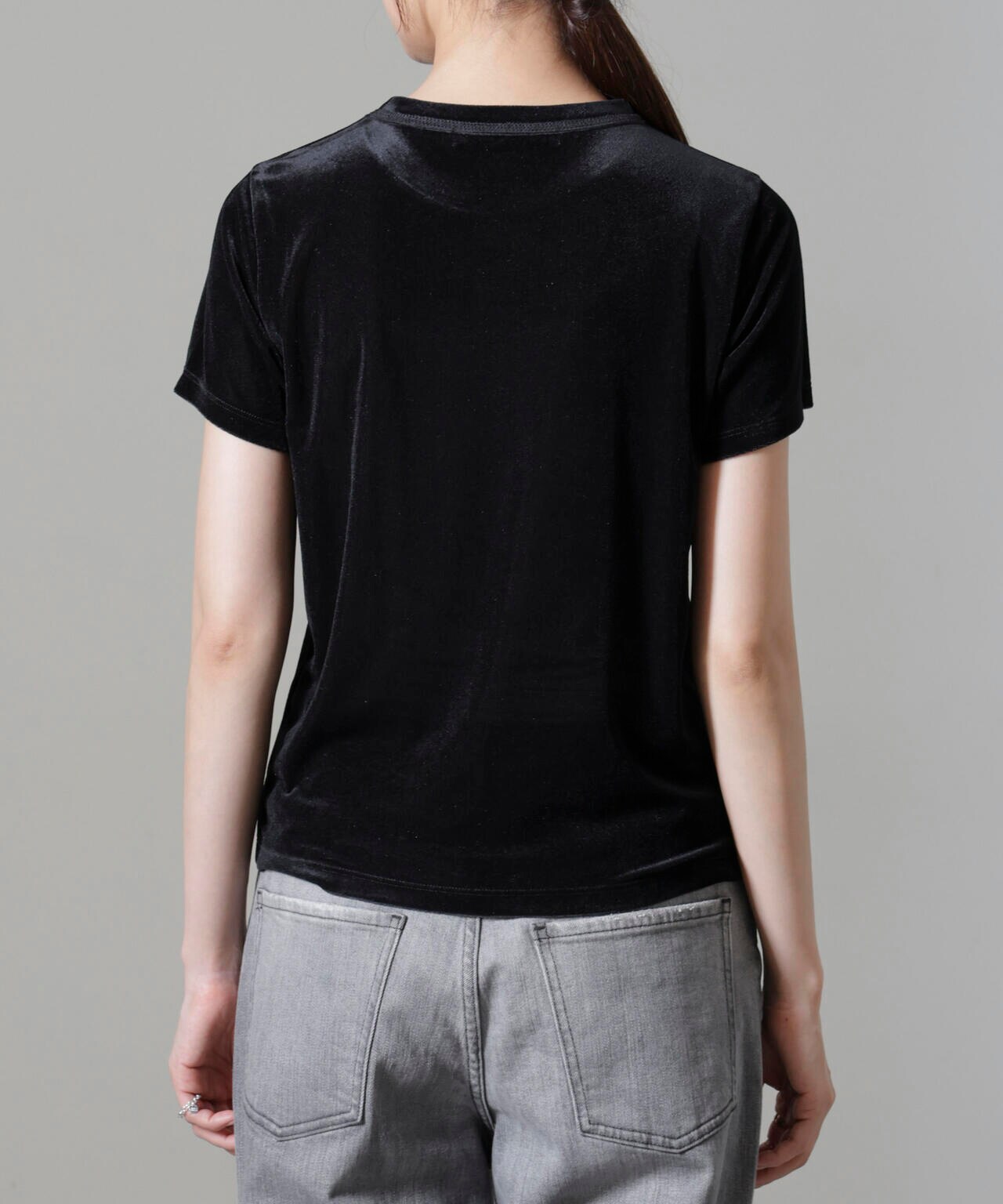 シアー ベロア コンパクト Tシャツ washable