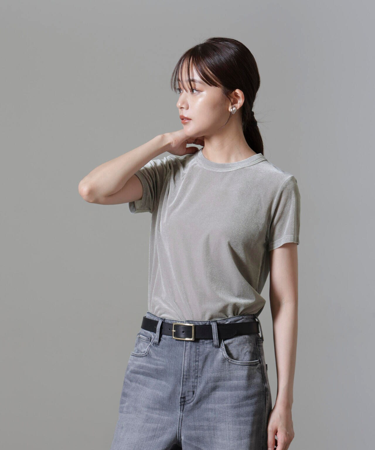 シアー ベロア コンパクト Tシャツ washable