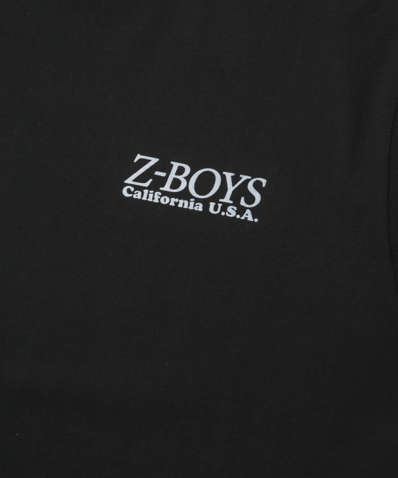 ZEPHYR/Z-BOYS/別注 Z-BOYS TEE 6703124076