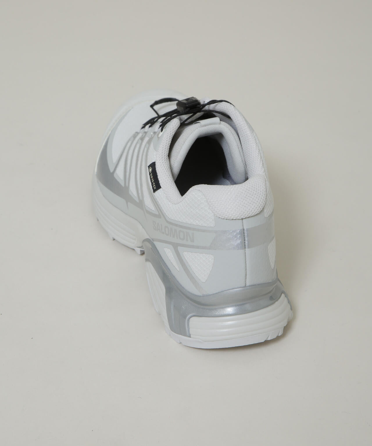 SALOMON / XT-PATHWAY GTX