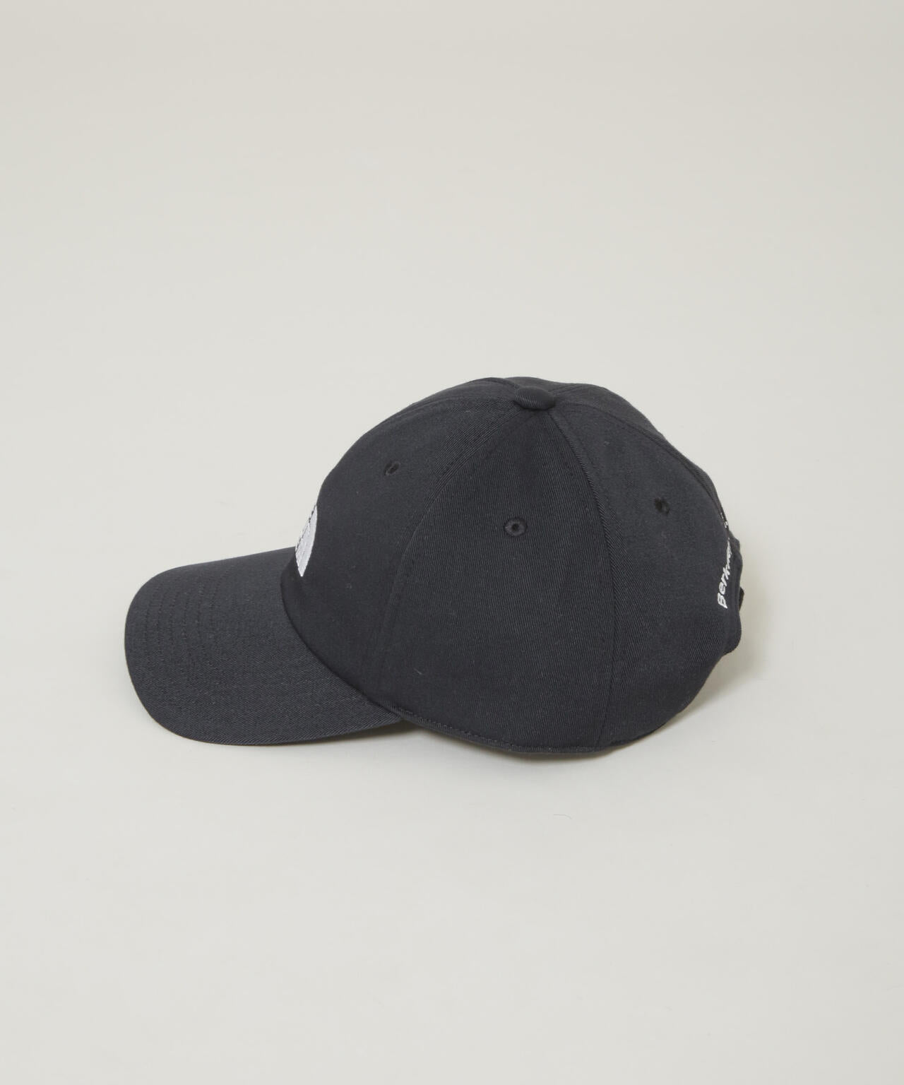 THE NORTH FACE/TNF Logo Cap 6706139016