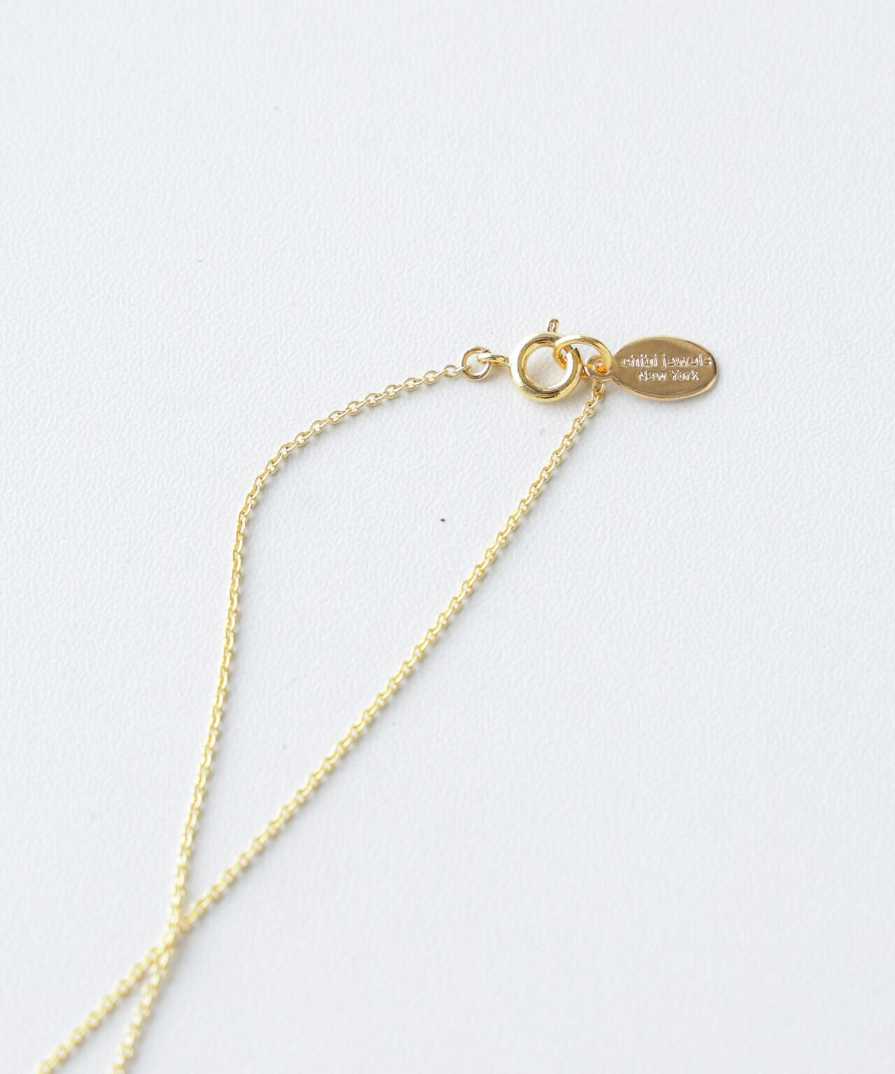 Chibi Jewels/Horse Coin Necklace 6715146048