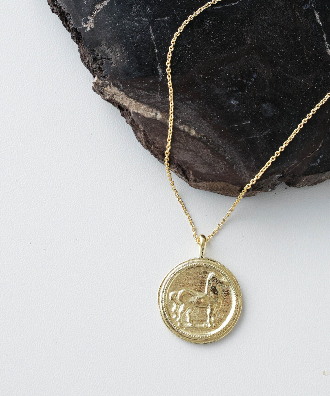 Chibi Jewels/Horse Coin Necklace 6715146048