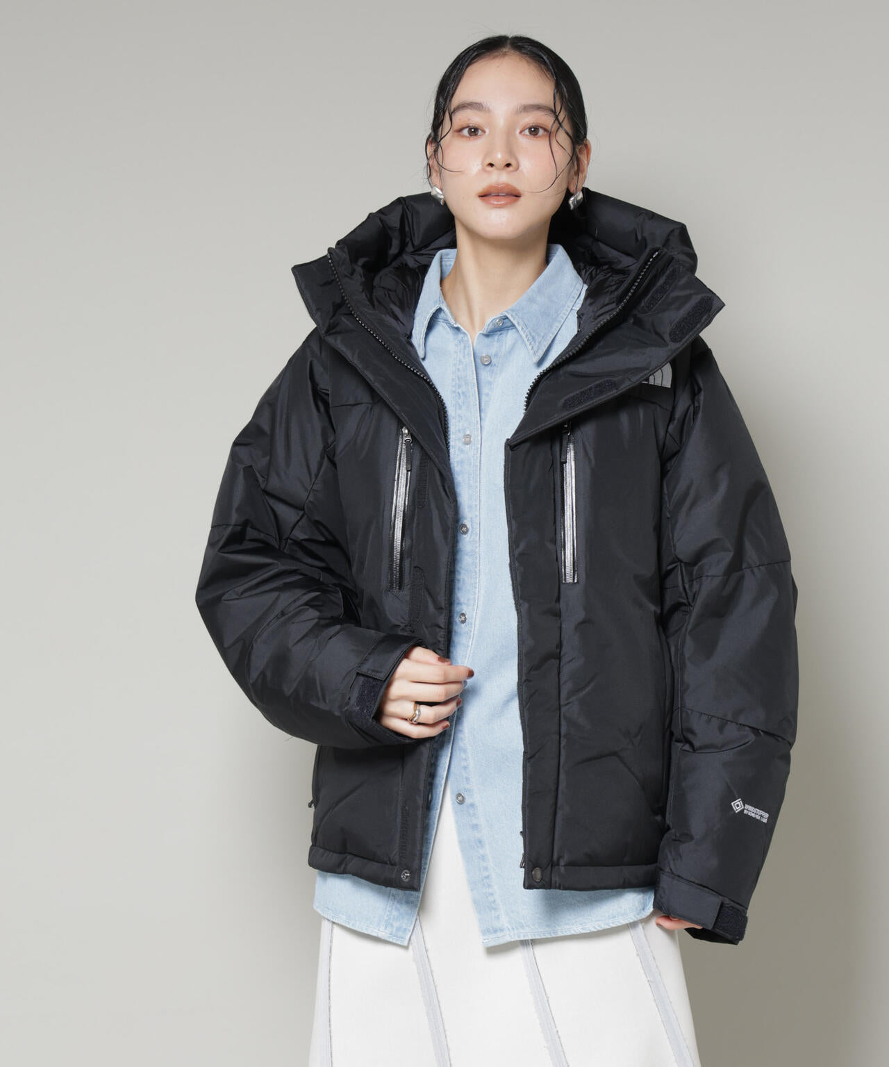THE NORTH FACE / Baltro Light Jacket