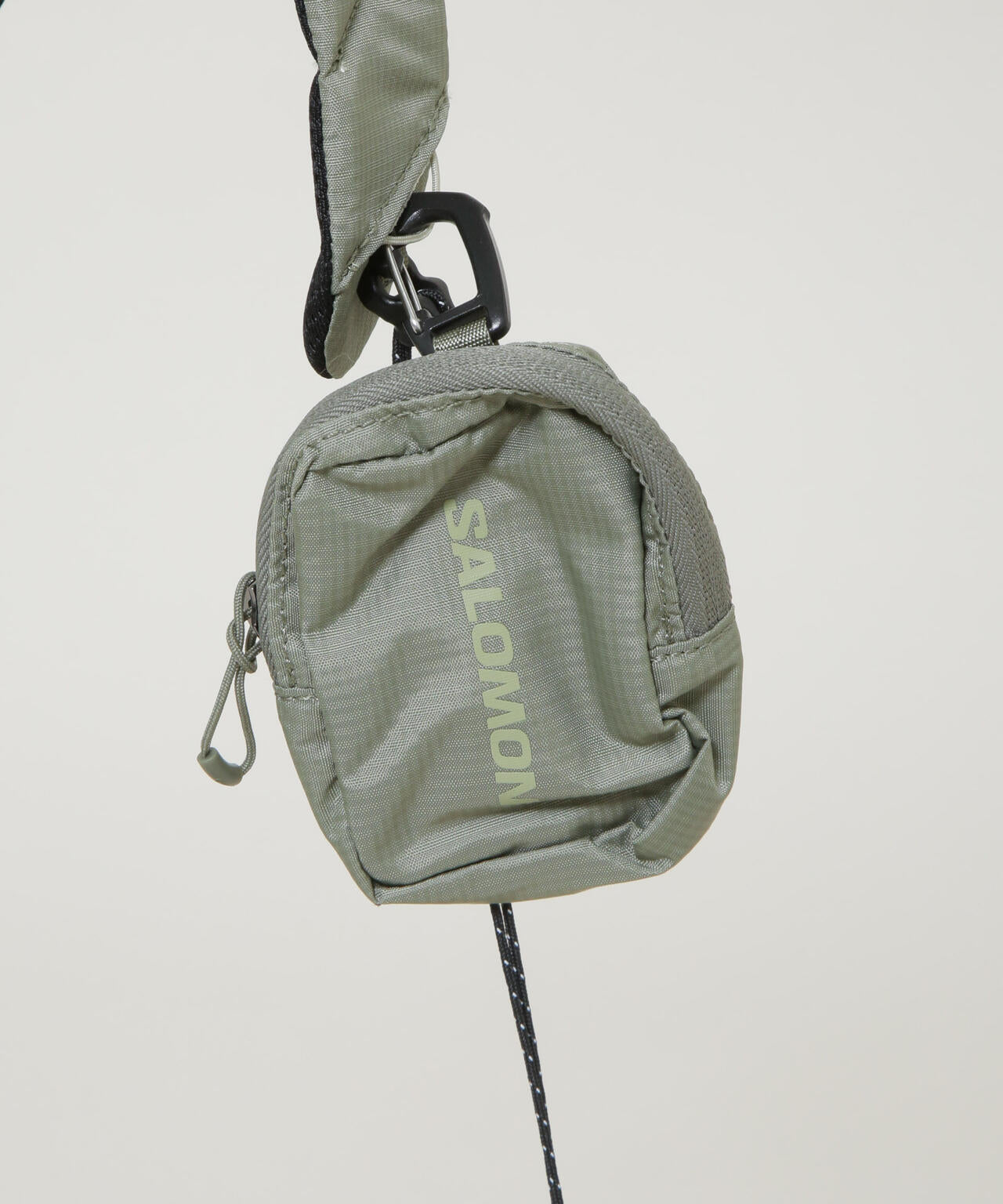 SALOMON / ACS2 REVISED DEEPLICHENGREEN